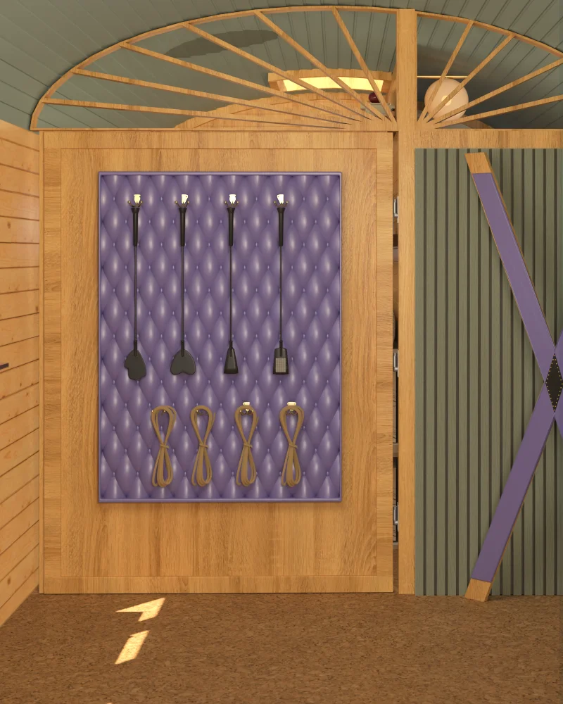 BDSM Zirkuswagen Spielzimmer gestalten: gepolsterte Wand mit Peitschen & Seilen im Wageninneren