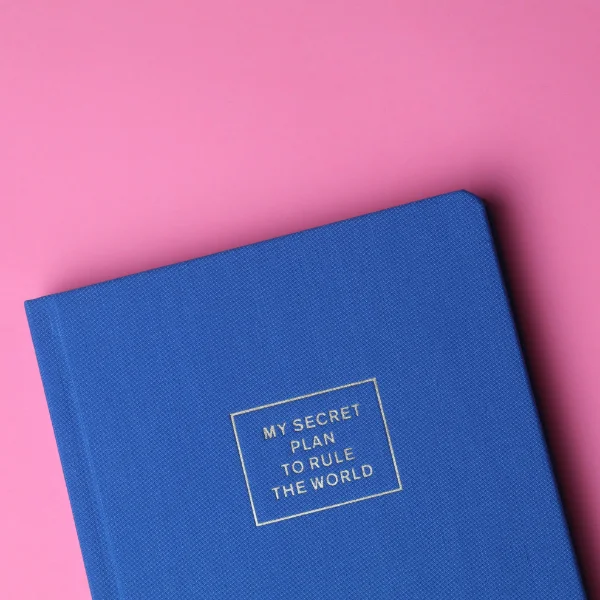 Blaues Notizbuch mit dem Titel „My Secret Plan to Rule the World“ auf pinkem Hintergrund