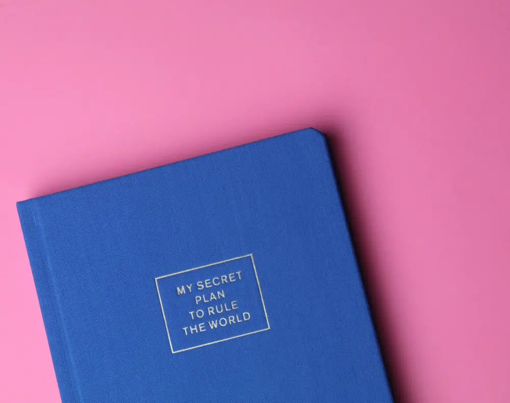 Gründung in der Erotikbranche Blauer Planer auf pinkem Untergrund mit Aufschrift „My secret plan to rule the world“