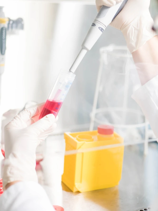 Hautverträglichkeit in der Erotikbranche: Vorbereitung von Testproben im Labor